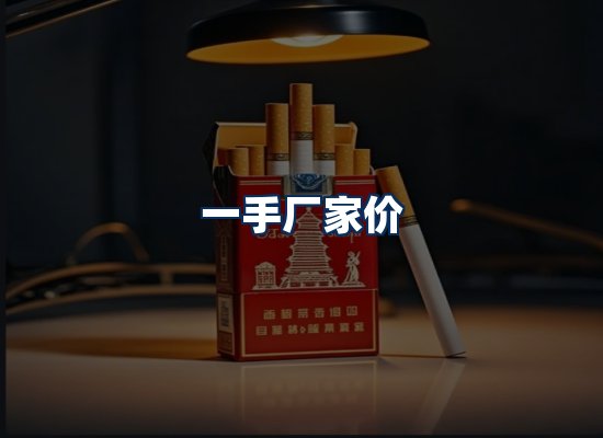 专业团队办公环境